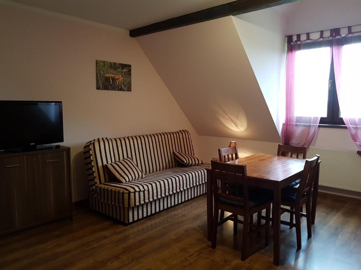 Kamienna Polana Apartment Szczytna Luaran gambar